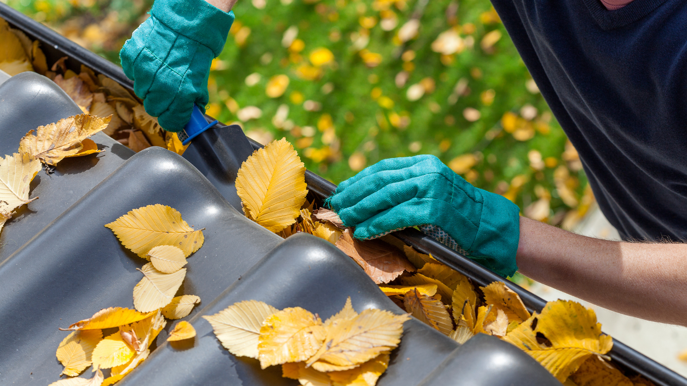 Gutter Cleaning Service Wake Forest Nc